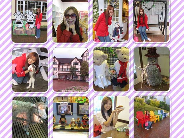 綠光森林.清境.老英格蘭.花博新生館