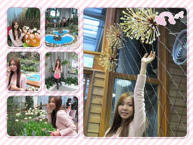 綠光森林.清境.老英格蘭.花博新生館