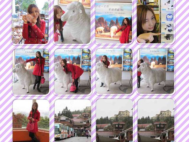 綠光森林.清境.老英格蘭.花博新生館