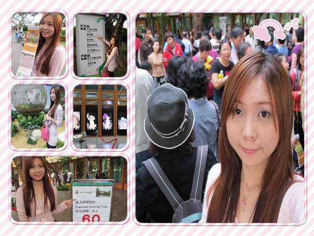 綠光森林.清境.老英格蘭.花博新生館