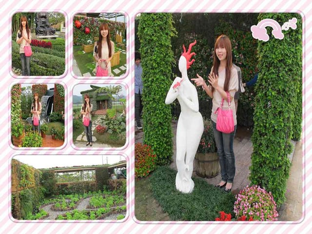 玩瘋花博．．