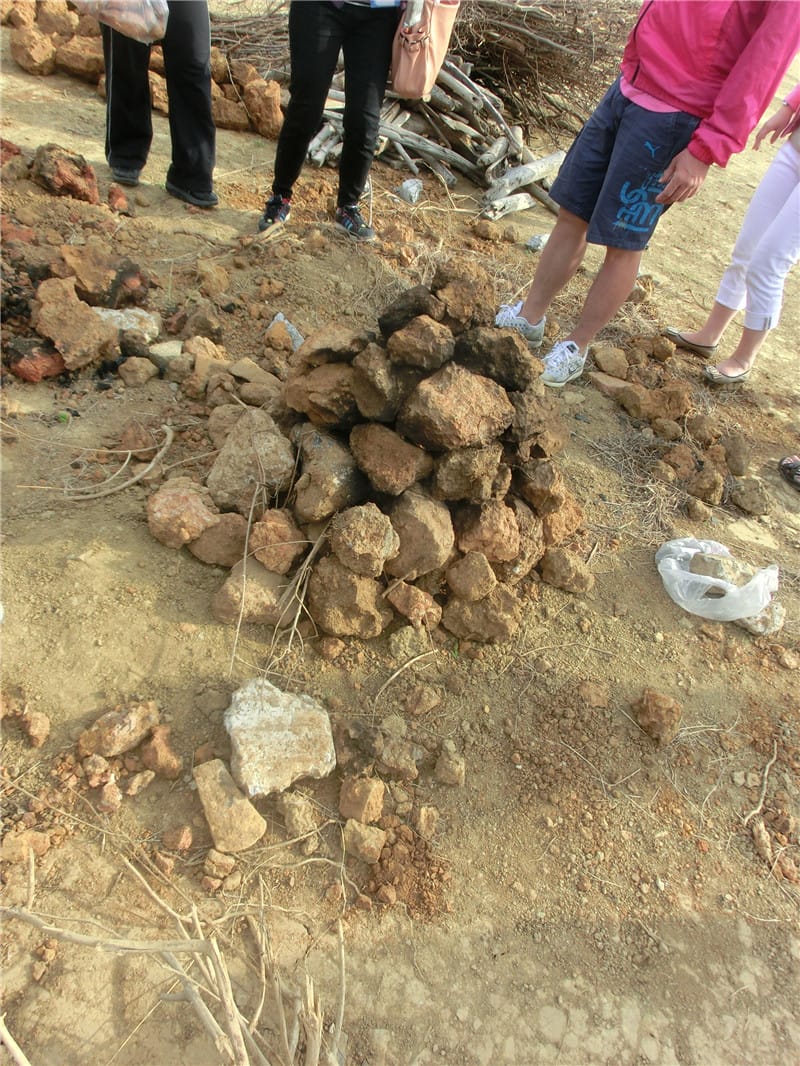 CIMG9874 - 複製 CIMG9874 - 複製