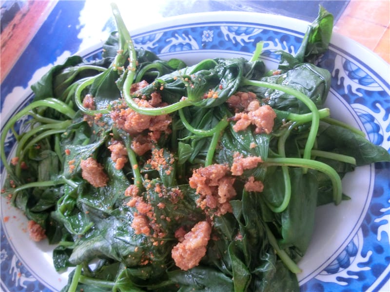 CIMG9841 - 複製 CIMG9841 - 複製