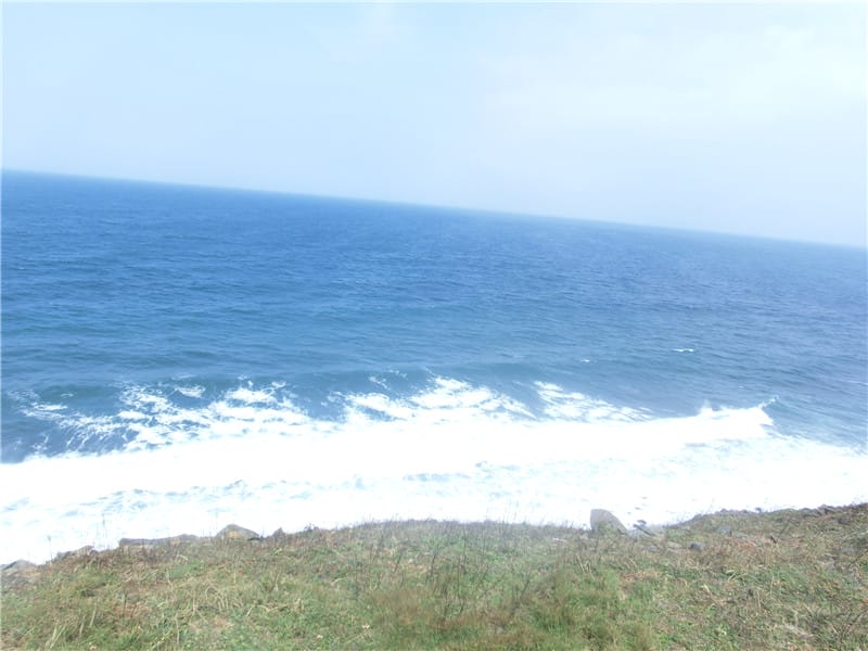 CIMG9790 - 複製 CIMG9790 - 複製