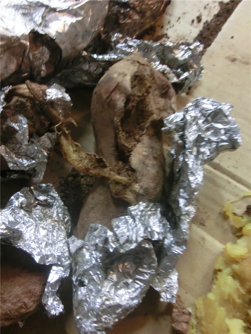 CIMG9967 - 複製 CIMG9967 - 複製