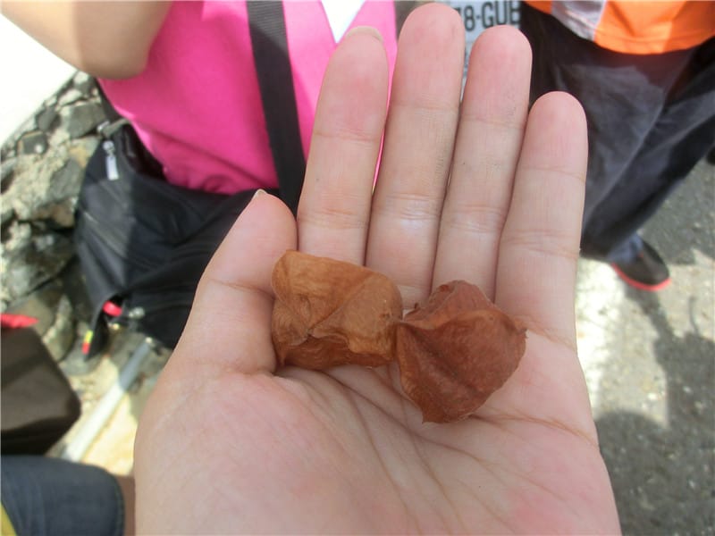 CIMG9663 - 複製 CIMG9663 - 複製