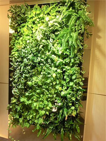 1383487893-360452909_m