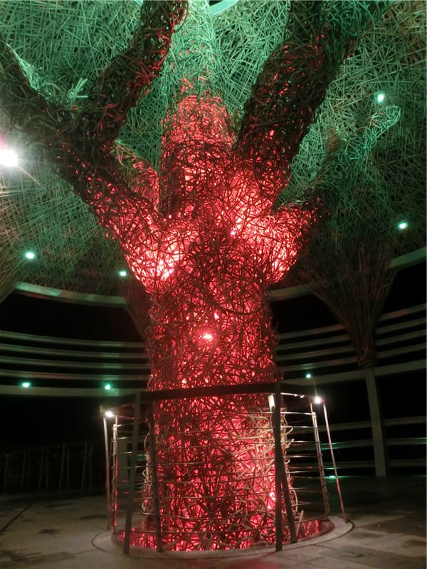 CIMG0774.jpg CIMG0774.jpg