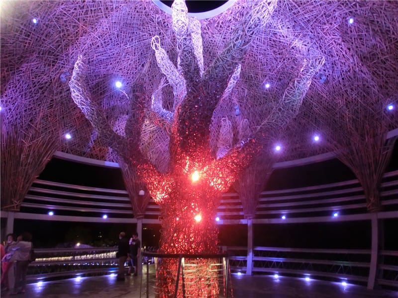 CIMG0752.jpg CIMG0752.jpg