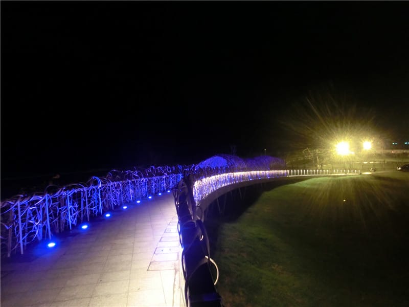 CIMG0756.jpg CIMG0756.jpg