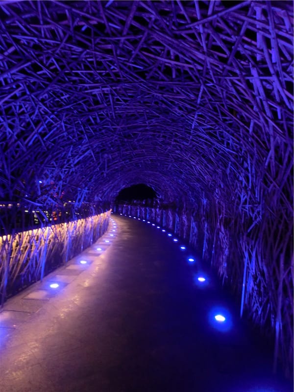 CIMG0740.jpg CIMG0740.jpg