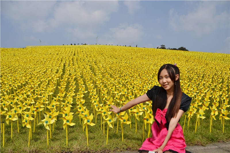 DSC_2570_副本 DSC_2570_副本