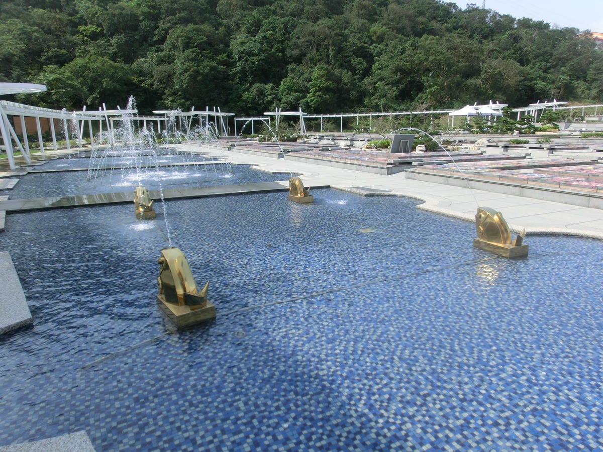 CIMG1641.JPG CIMG1641.JPG