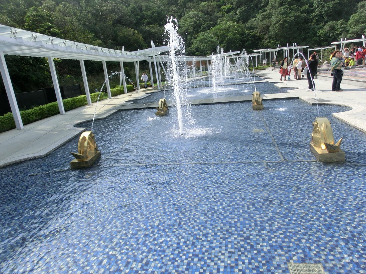 CIMG1654.JPG CIMG1654.JPG