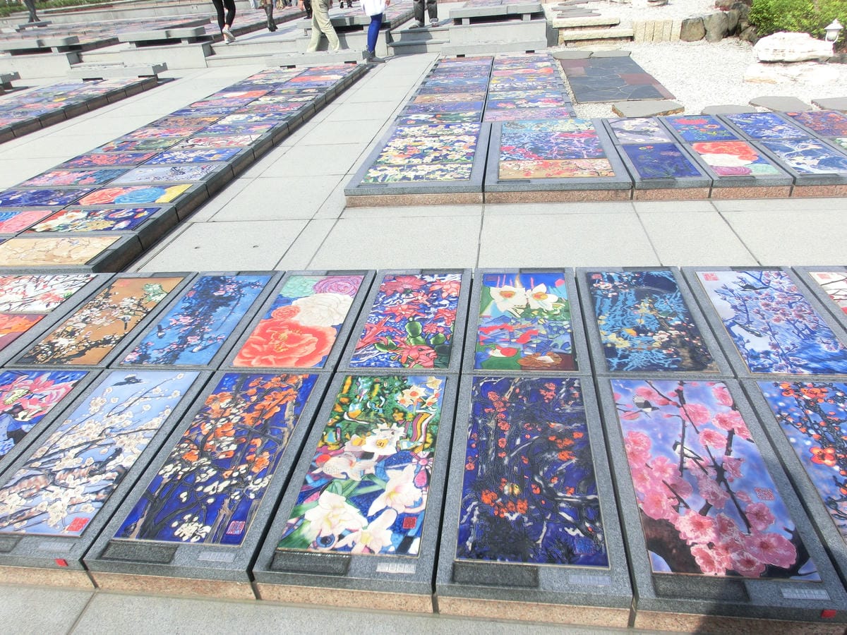 CIMG1658.JPG CIMG1658.JPG