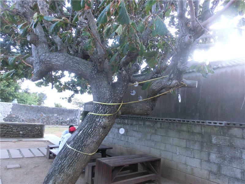 CIMG0356.jpg CIMG0356.jpg