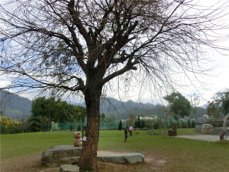 CIMG0770.jpg CIMG0770.jpg