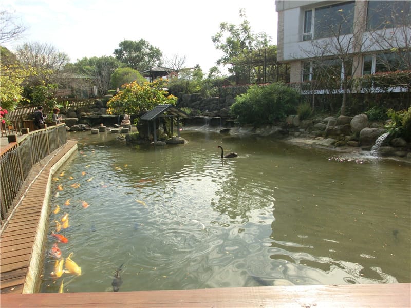 CIMG0716.jpg CIMG0716.jpg