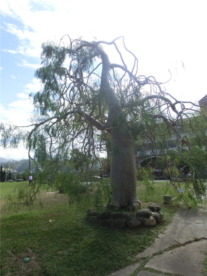 CIMG0725.jpg CIMG0725.jpg