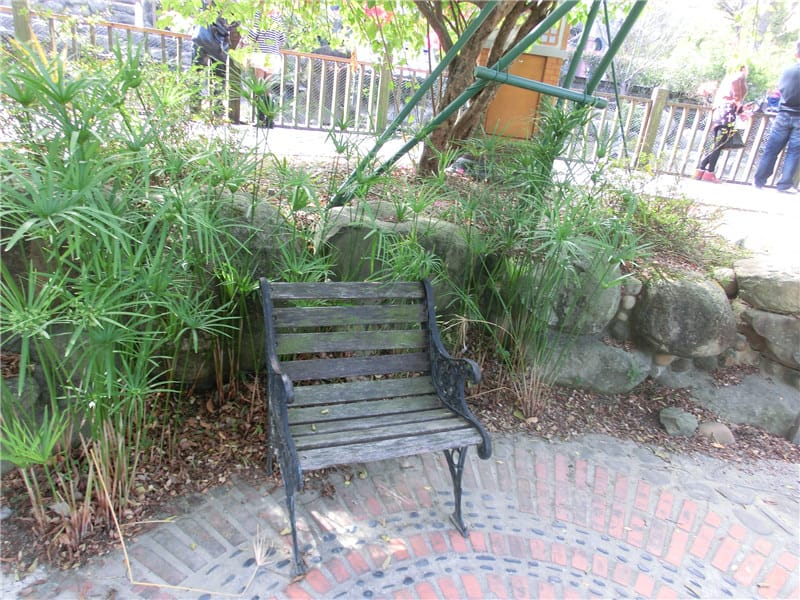 CIMG0702.jpg CIMG0702.jpg