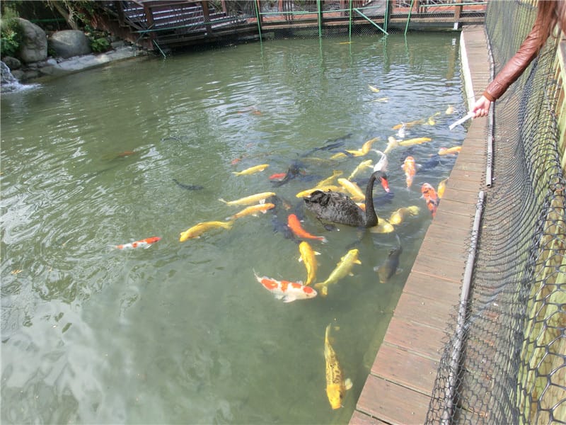 CIMG0710.jpg CIMG0710.jpg