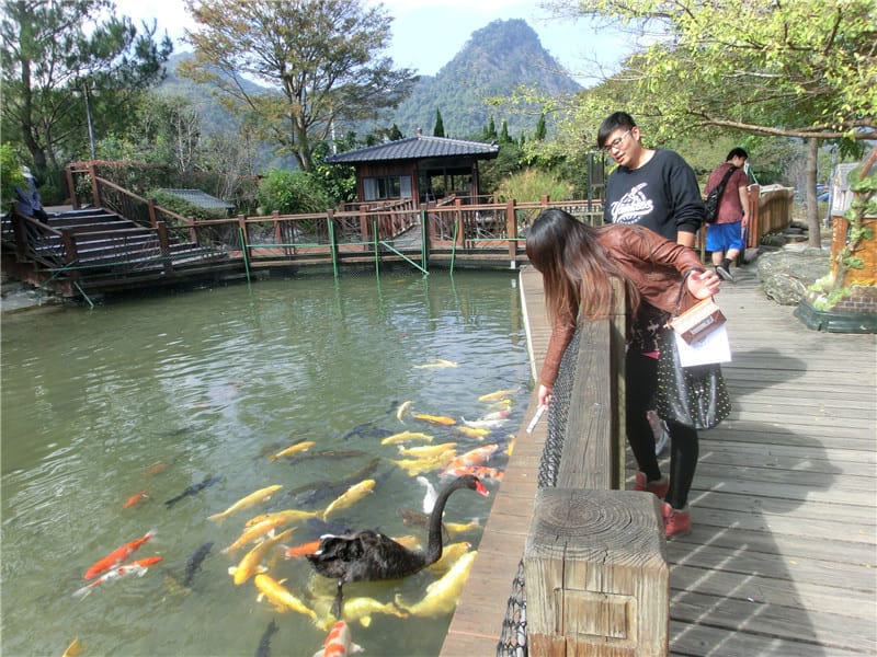 CIMG0711.jpg CIMG0711.jpg