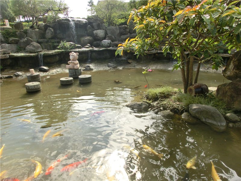 CIMG0708.jpg CIMG0708.jpg