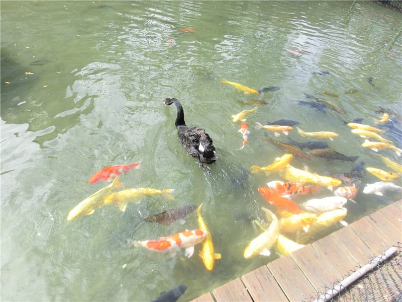 CIMG0712.jpg CIMG0712.jpg