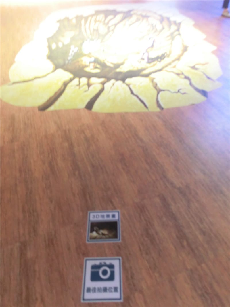 CIMG9691.jpg CIMG9691.jpg