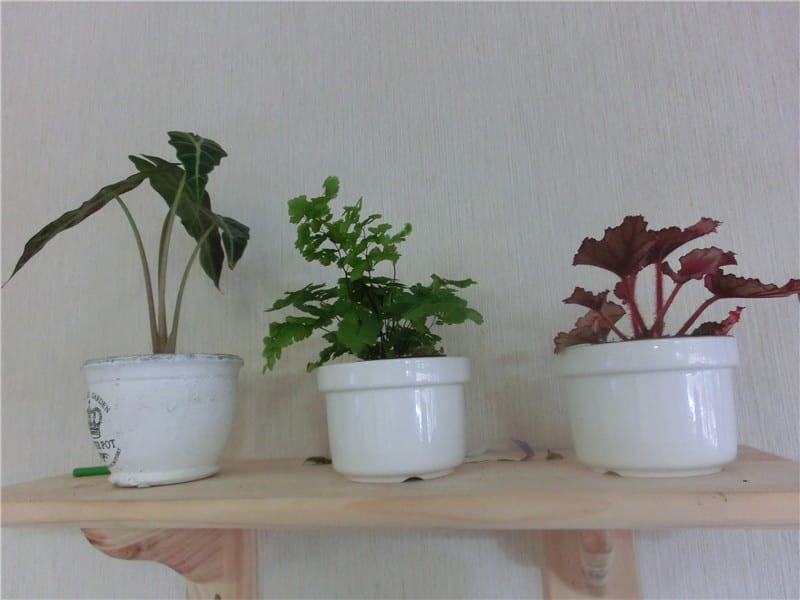 CIMG9018.jpg CIMG9018.jpg