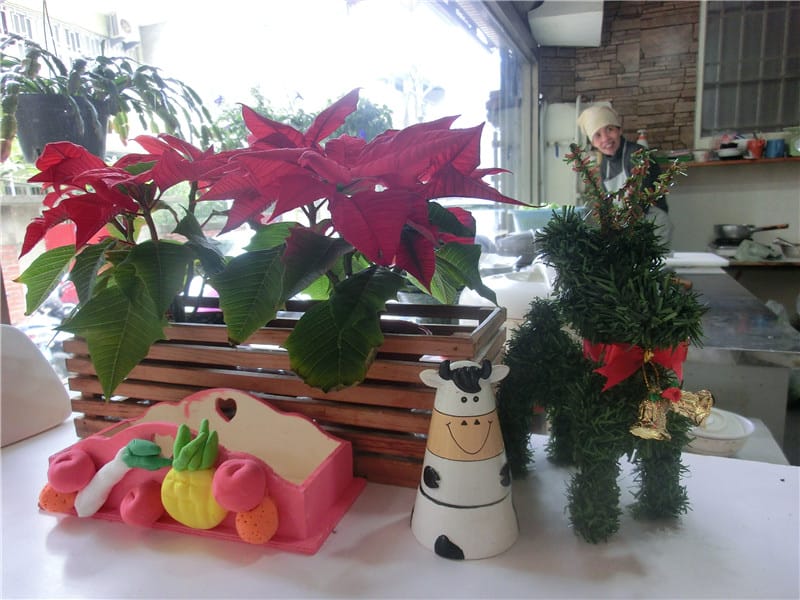 CIMG8997.jpg CIMG8997.jpg