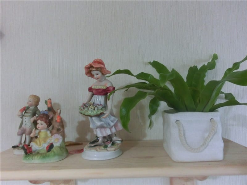 CIMG9020.jpg CIMG9020.jpg