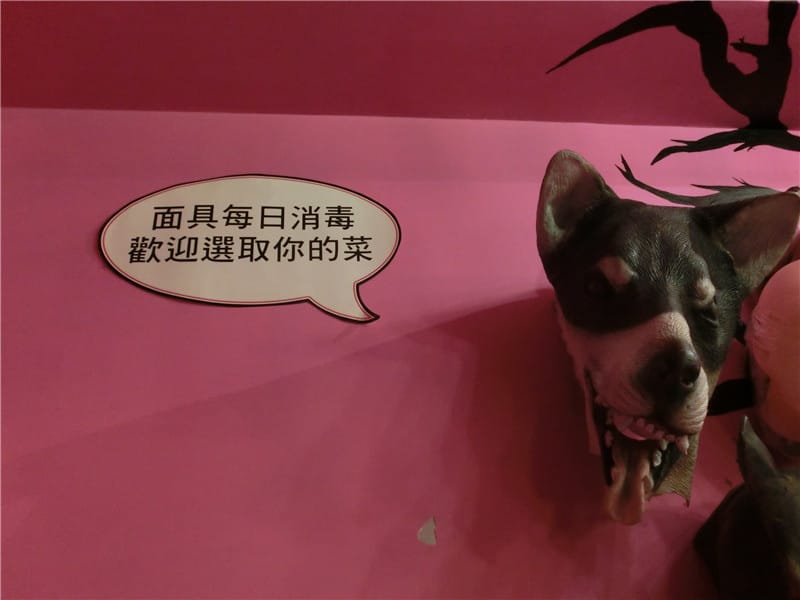 CIMG6241.jpg CIMG6241.jpg