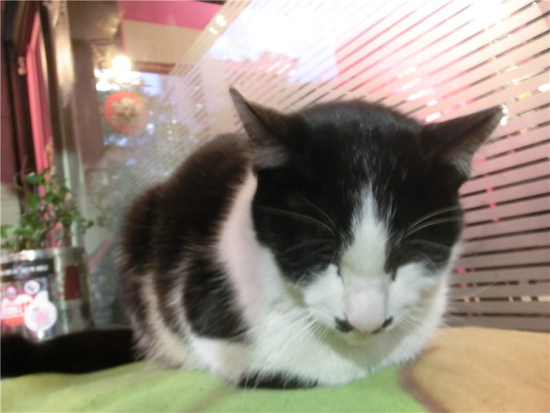 CIMG6188.jpg CIMG6188.jpg