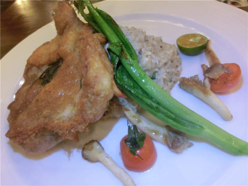 CIMG8916.jpg CIMG8916.jpg