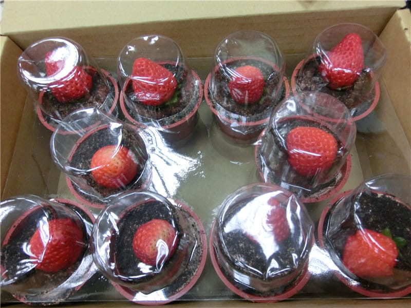 CIMG6720.jpg CIMG6720.jpg