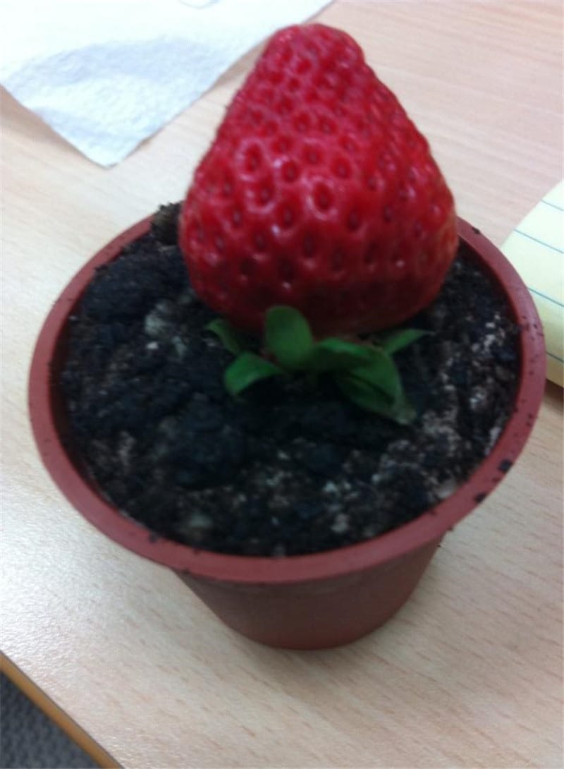 1510804_650654664975845_1557735437.jpg 1510804_650654664975845_1557735437.jpg