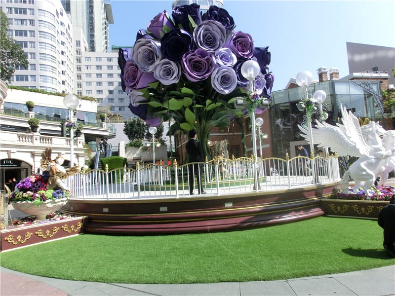 CIMG4783.jpg CIMG4783.jpg