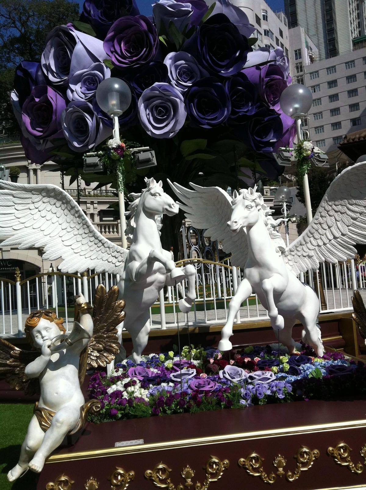 IMG_2813.JPG IMG_2813.JPG