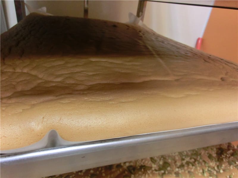 CIMG9135.jpg CIMG9135.jpg