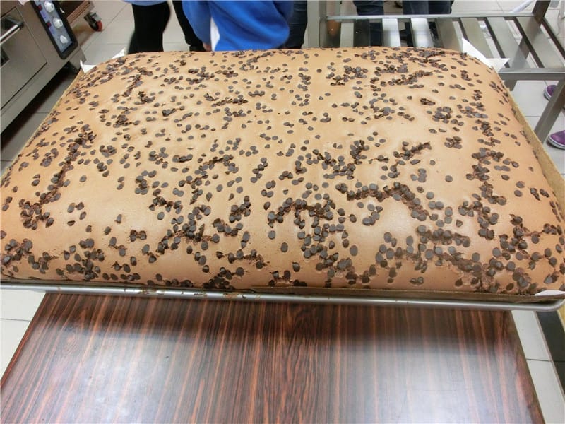 CIMG9124.jpg CIMG9124.jpg