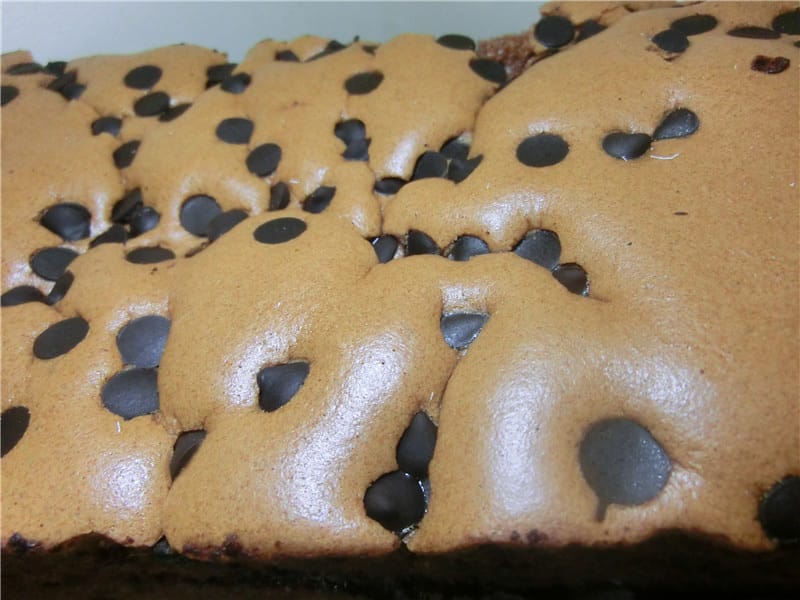 CIMG9222.jpg CIMG9222.jpg