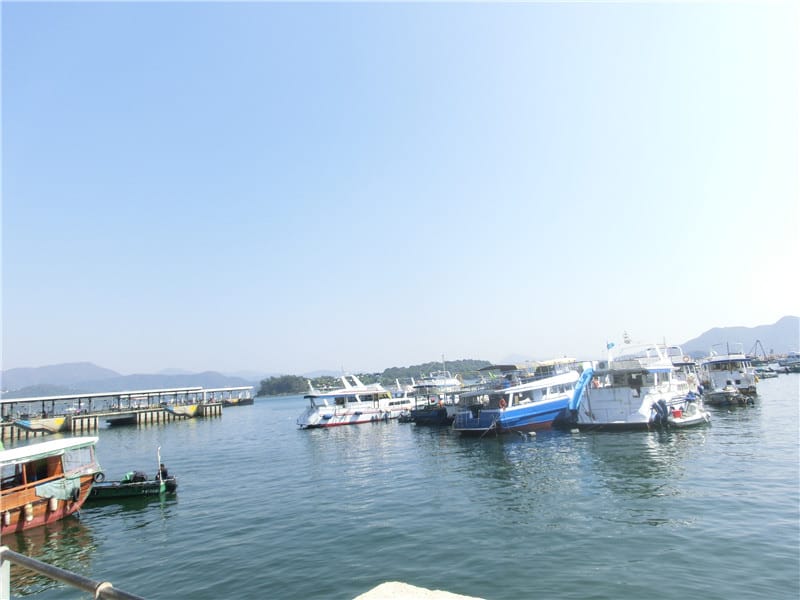 CIMG5281.jpg CIMG5281.jpg