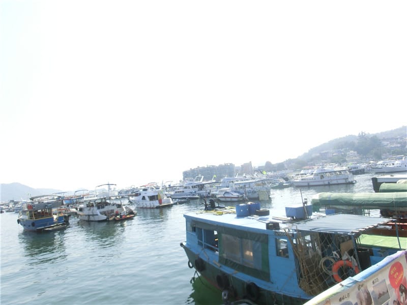 CIMG5282.jpg CIMG5282.jpg