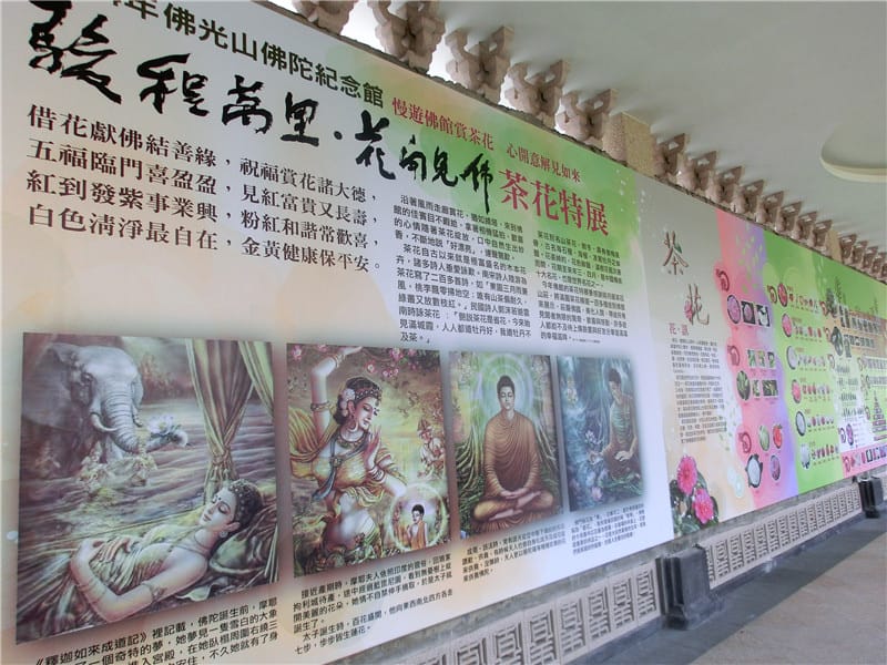 CIMG6346.jpg CIMG6346.jpg