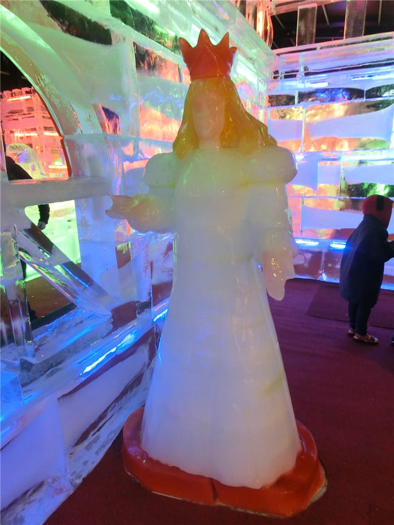 CIMG7937.jpg CIMG7937.jpg