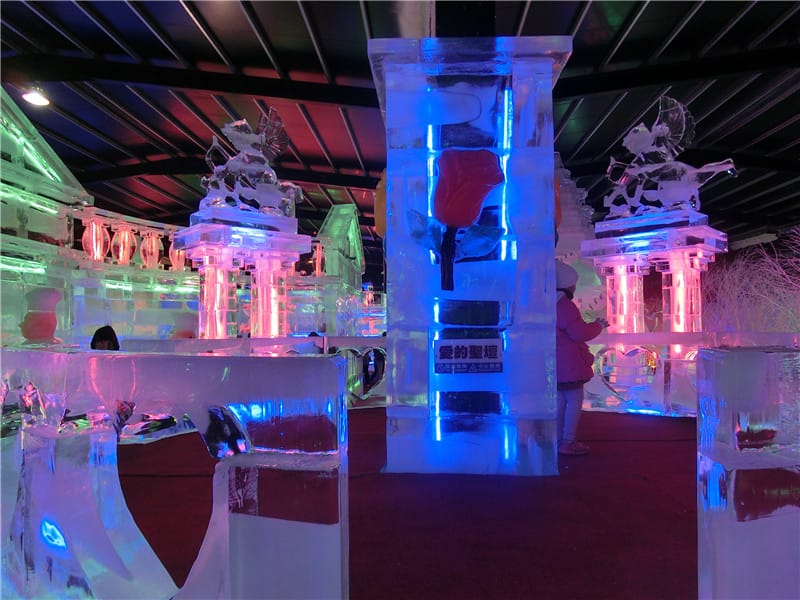 CIMG7934.jpg CIMG7934.jpg