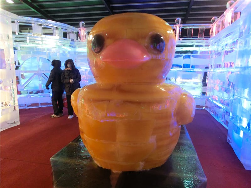 CIMG7913.jpg CIMG7913.jpg