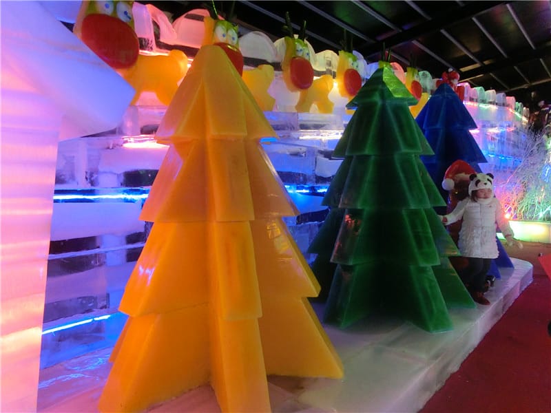 CIMG7927.jpg CIMG7927.jpg