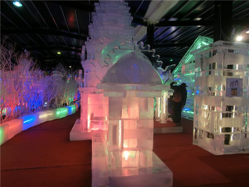 CIMG7914.jpg CIMG7914.jpg